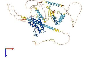 AlphaFold protein structure predicition of Human Recombinant BRD9 Protein, UniprotID Q9H8M2