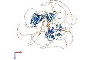 AlphaFold protein structure predicition of Mouse Recombinant Agap2 Protein, UniprotID Q3UHD9