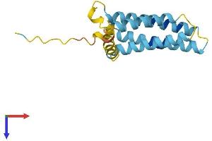 AlphaFold protein structure predicition of Mouse Recombinant Plp2 Protein, UniprotID Q9R1Q7