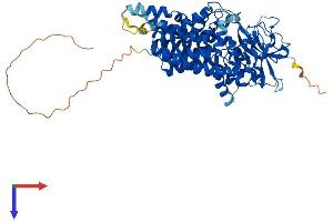 AlphaFold protein structure predicition of Mouse Recombinant Alg9 Protein, UniprotID Q8VDI9