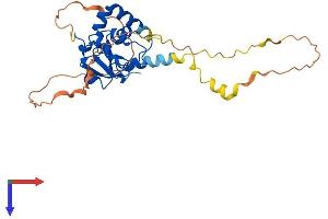 AlphaFold protein structure predicition of Human Recombinant BIRC7 Protein, UniprotID Q96CA5