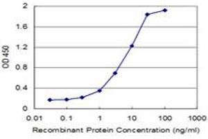 Detection limit for recombinant GST tagged KLF5 is approximately 0.