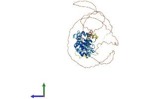 AlphaFold protein structure predicition of Mouse Recombinant Ets2 Protein, UniprotID P15037