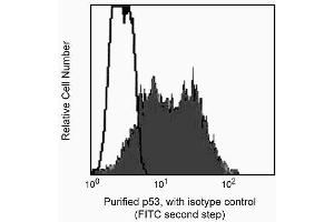 Profile of permeabilized CEM human leukemia cells analyzed on a FACScan™ (BDIS, San Jose, CA).