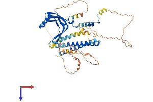 AlphaFold protein structure predicition of Mouse Recombinant Taf7l Protein, UniprotID Q9D3R9