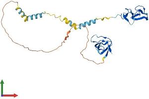 AlphaFold protein structure predicition of Mouse Recombinant Lasp1 Protein, UniprotID Q61792