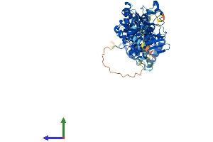 AlphaFold protein structure predicition of Mouse Recombinant Atg7 Protein, UniprotID Q9D906