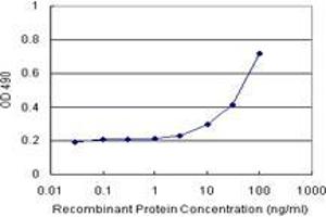 Sandwich ELISA detection sensitivity ranging from 10 ng/mL to 100 ng/mL. (RAB31 (Humain) Matched Antibody Pair)