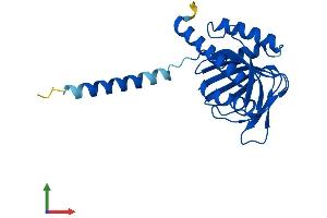 AlphaFold protein structure predicition of Mouse Recombinant Sigmar1 Protein, UniprotID O55242