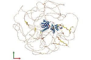 AlphaFold protein structure predicition of Human Recombinant IRS2 Protein, UniprotID Q9Y4H2