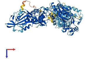 AlphaFold protein structure predicition of Human Recombinant SLFN5 Protein, UniprotID Q08AF3