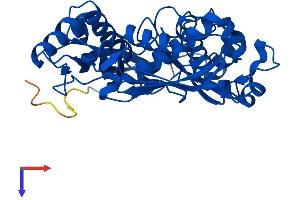 AlphaFold protein structure predicition of Mouse Recombinant Mat2a Protein, UniprotID Q3THS6