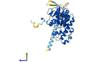 AlphaFold protein structure predicition of Mouse Recombinant Tpst1 Protein, UniprotID O70281