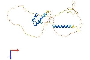 AlphaFold protein structure predicition of Mouse Recombinant Emd Protein, UniprotID O08579