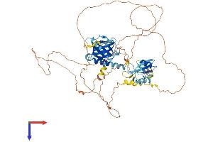 AlphaFold protein structure predicition of Human Recombinant SHC4 Protein, UniprotID Q6S5L8