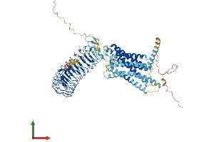 AlphaFold protein structure predicition of Mouse Recombinant Rxfp1 Protein, UniprotID Q6R6I7