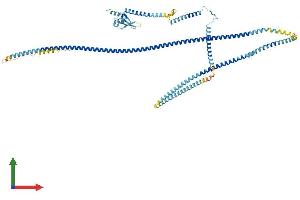 AlphaFold protein structure predicition of Mouse Recombinant Mad1l1 Protein, UniprotID Q9WTX8