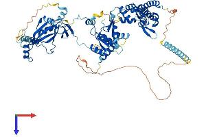 AlphaFold protein structure predicition of Mouse Recombinant Polr3e Protein, UniprotID Q9CZT4