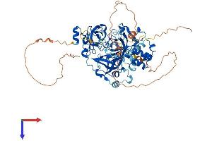 AlphaFold protein structure predicition of Mouse Recombinant L3mbtl4 Protein, UniprotID B1B1A0