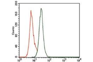 Flow cytometric analysis of MOLT4 cells using PCNA mouse mAb (green) and negative control (purple). (PCNA anticorps)