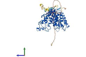 AlphaFold protein structure predicition of Human Recombinant HDAC2 Protein, UniprotID Q92769