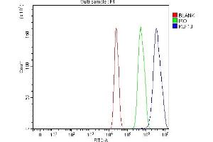 Flow Cytometry analysis of C6 cells using anti-KLF13 antibody (ABIN7602036). (KLF13 anticorps  (AA 56-260))
