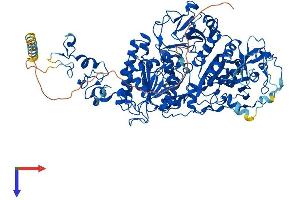 AlphaFold protein structure predicition of Mouse Recombinant Enpp1 Protein, UniprotID P06802