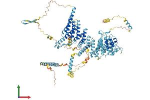 AlphaFold protein structure predicition of Mouse Recombinant Noc3l Protein, UniprotID Q8VI84