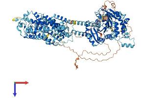 AlphaFold protein structure predicition of Mouse Recombinant Slc12a1 Protein, UniprotID P55014