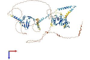 AlphaFold protein structure predicition of Mouse Recombinant Dgcr8 Protein, UniprotID Q9EQM6