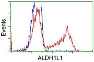 Image no. 2 for anti-Aldehyde Dehydrogenase 1 Family, Member L1 (ALDH1L1) antibody (ABIN1496581) (ALDH1L1 anticorps)
