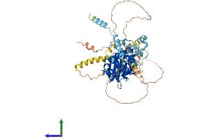 AlphaFold protein structure predicition of Human Recombinant RIOK1 Protein, UniprotID Q9BRS2
