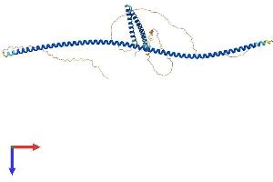AlphaFold protein structure predicition of Human Recombinant CEP57L1 Protein, UniprotID Q8IYX8