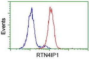 Flow cytometric Analysis of Hela cells, using anti-RTN4IP1 antibody (ABIN2454379), (Red), compared to a nonspecific negative control antibody, (Blue). (RTN4IP1 anticorps)