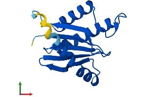 AlphaFold protein structure predicition of Human Recombinant TRAPPC2B Protein, UniprotID P0DI82