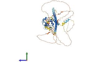AlphaFold protein structure predicition of Human Recombinant HSF2 Protein, UniprotID Q03933
