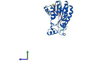 AlphaFold protein structure predicition of Mouse Recombinant Dhrs4 Protein, UniprotID Q99LB2