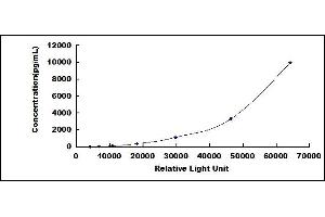 Typical standard curve