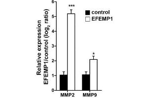 Bioactivity measured with Activity Assay