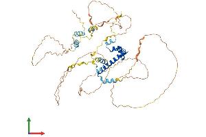 AlphaFold protein structure predicition of Human Recombinant CENPT Protein, UniprotID Q96BT3