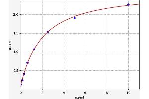 Typical standard curve (MYB Kit ELISA)