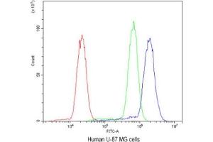 Flow cytometry testing of human U-87 MG cells with SSH3BP1 antibody at 1ug/10^6 cells (blocked with goat sera) (ABI1 anticorps)