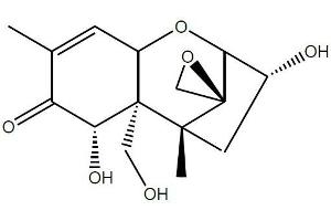 Antigen structure: Deoxynivalenol (DON) (Deoxynivalenol anticorps)