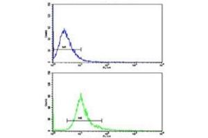 Flow cytometric analysis of NCI-H292 cells using DCXR antibody (bottom histogram) compared to a negative control (top histogram).