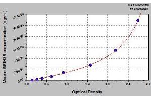 Typical standard curve (GRIN2B Kit ELISA)