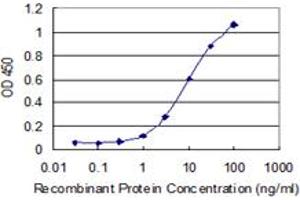 Detection limit for recombinant GST tagged NEB is 0.