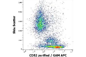 Flow cytometry surface staining pattern of human peripheral whole blood stained using anti-human CD52 (4C8) purified antibody (concentration in sample 0,6 μg/mL, GAM APC). (CD52 anticorps)