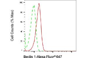 Flow cytometric analysis of Beclin 1 expression in HeLa cells using Beclin 1 antibody (ABIN7797761), 1:2,000). (Recombinant Beclin 1 anticorps)