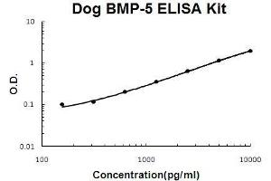 Dog BMP-5 PicoKine ELISA Kit standard curve (BMP5 Kit ELISA)