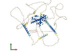 AlphaFold protein structure predicition of Human Recombinant PROX1 Protein, UniprotID Q92786